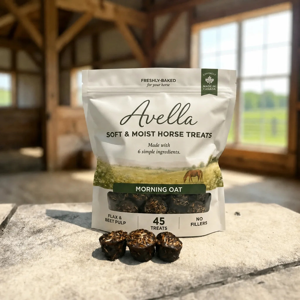 Morning Oat Horse Treats