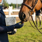 Morning Oat Horse Treats