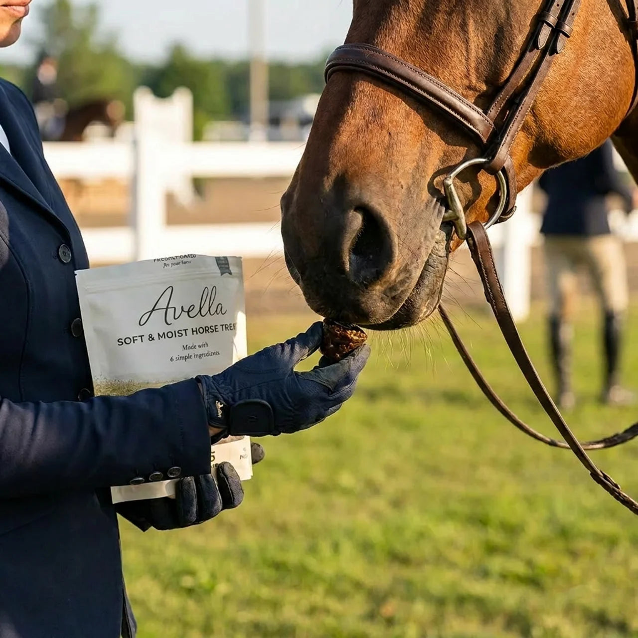Morning Oat Horse Treats