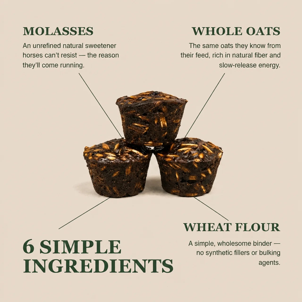 Morning Oat Horse Treats
